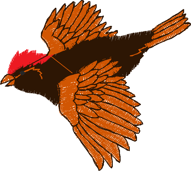 Birds 18 (6)