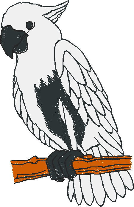 Birds 18 (9)