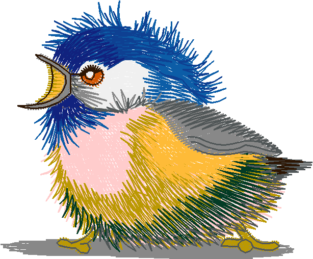 Birds 19 (11)