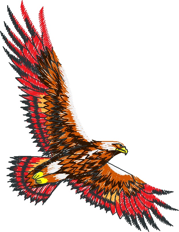 Birds 19 (13)