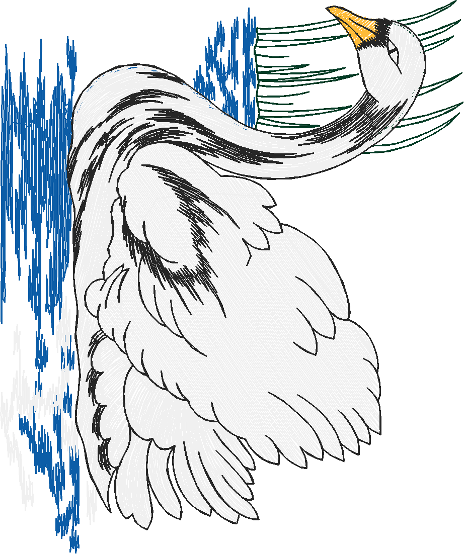 Birds 19 (18)