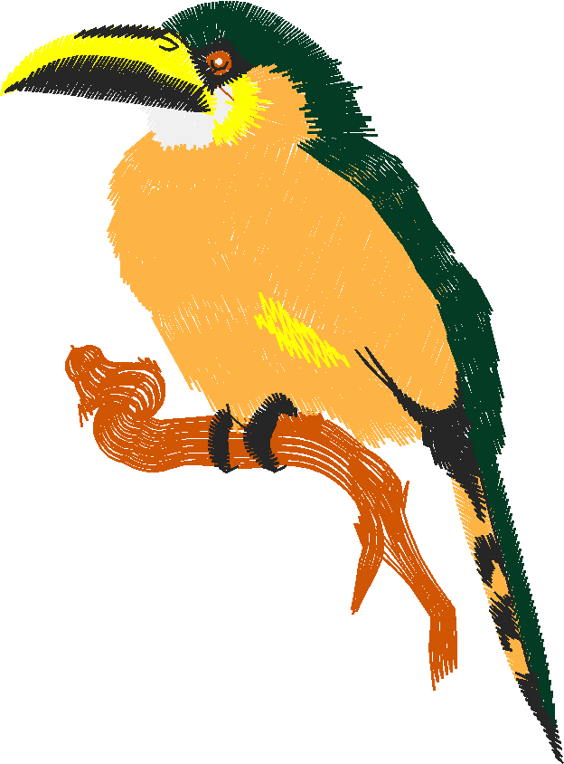 Birds 19 (22)