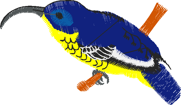 Birds 19 (24)