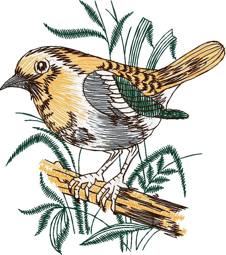 Birds 19 (26)