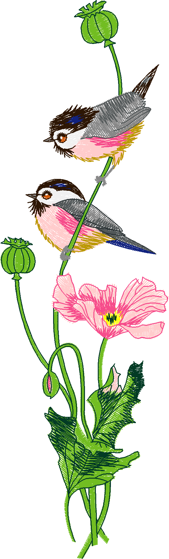 Birds 19 (3)