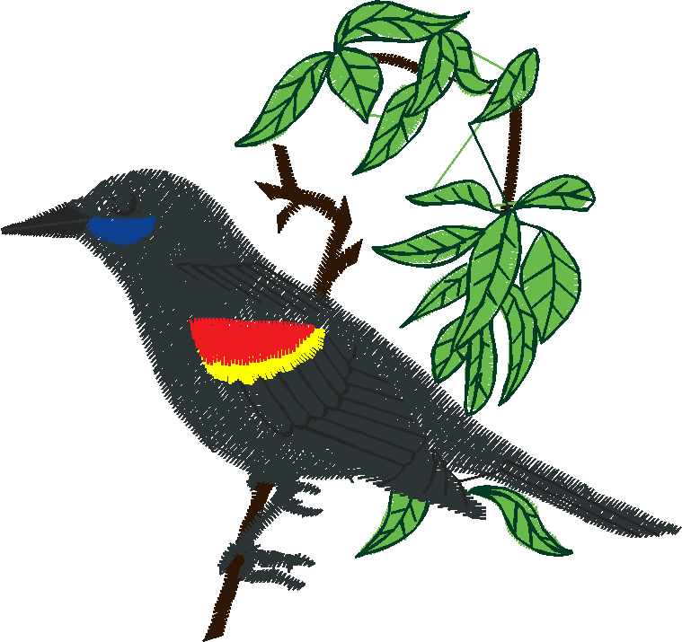 Birds 19 (39)