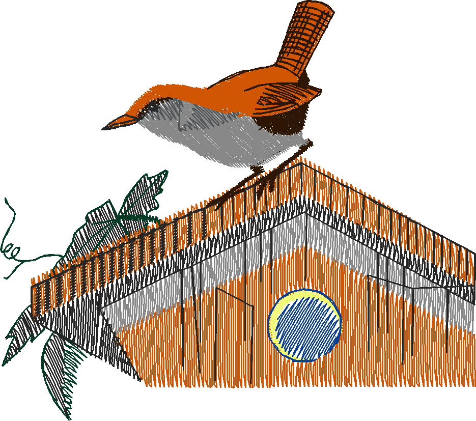Birds 19 (41)