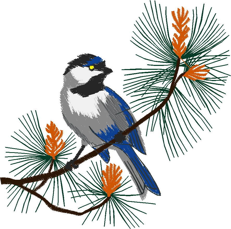Birds 19 (44)