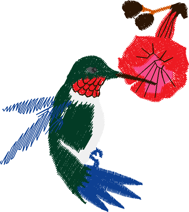 Birds 19 (46)
