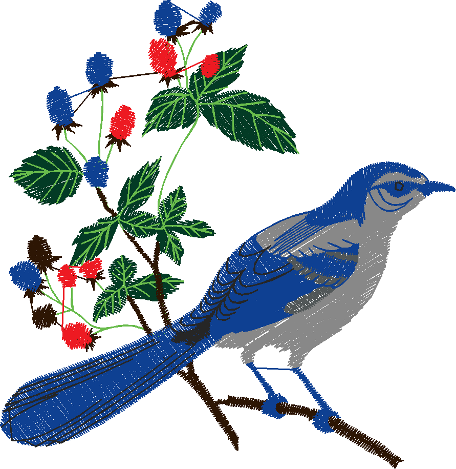 Birds 19 (47)