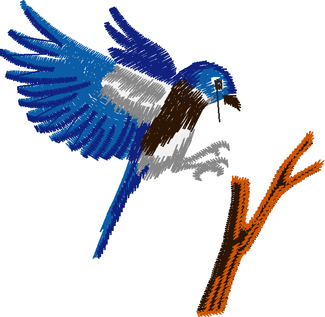 Birds 19 (52)