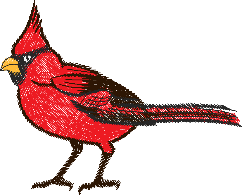 Birds 19 (58)