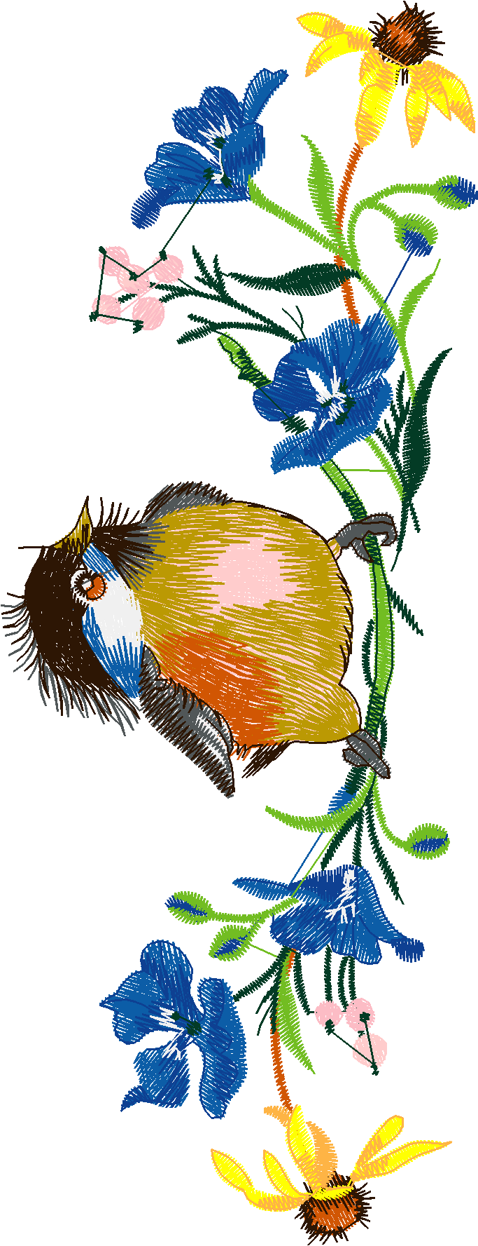Birds 19 (6)