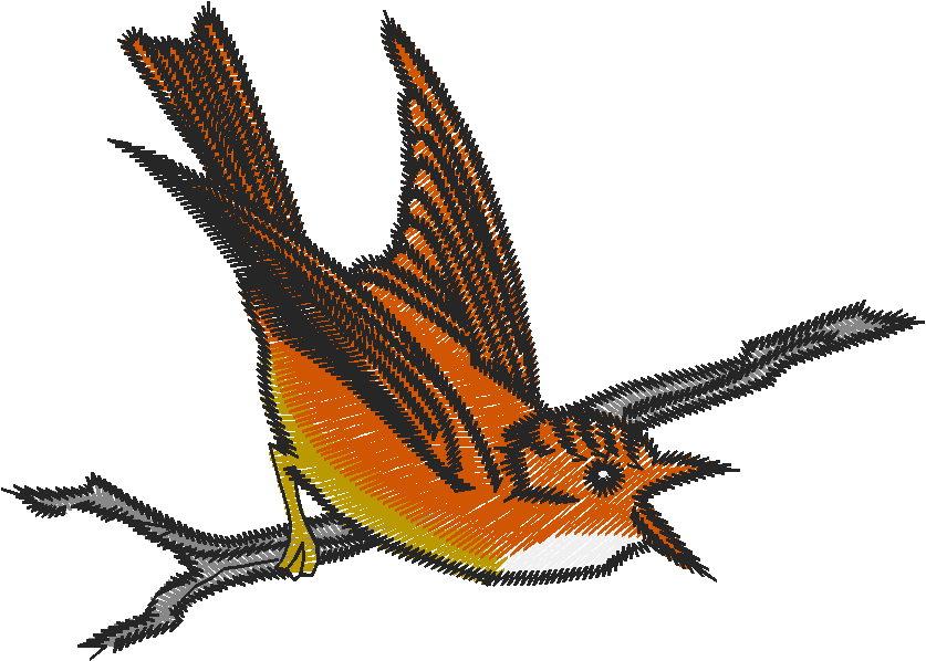 Birds 19 (61)