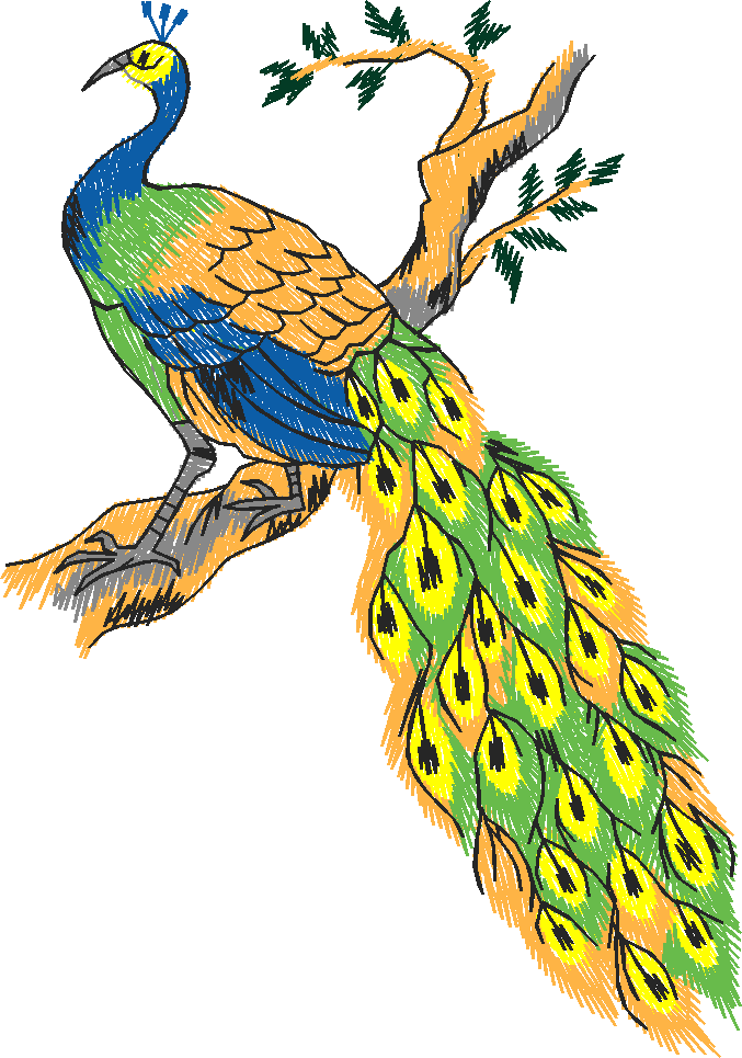 Birds 19 (70)