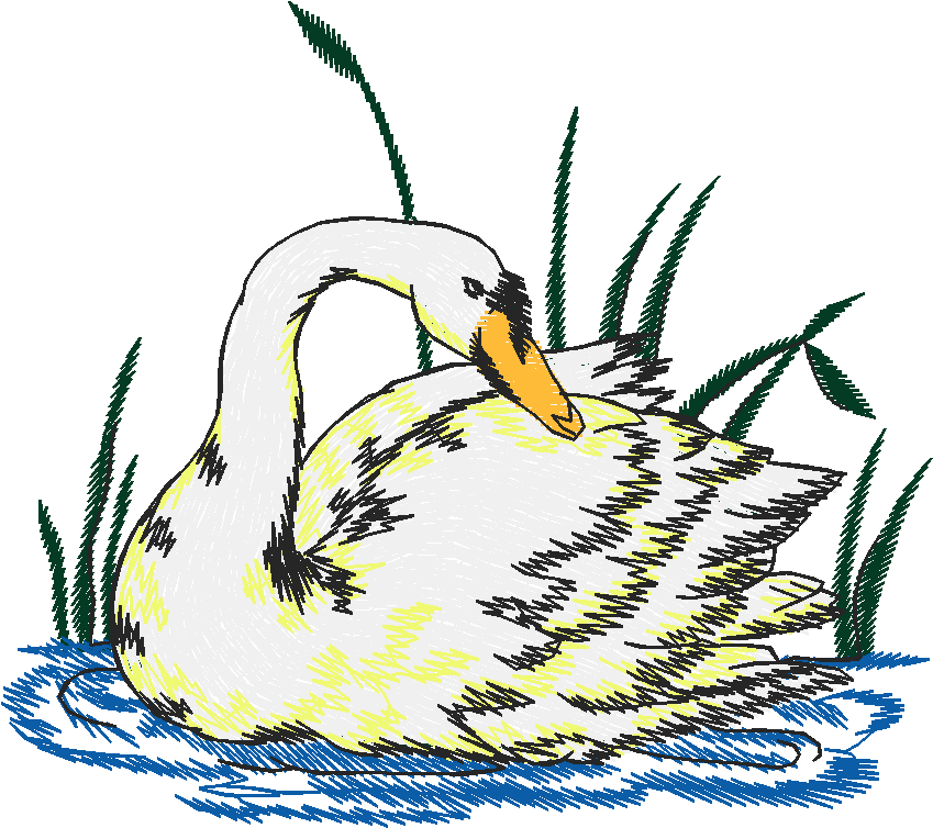 Birds 19 (74)