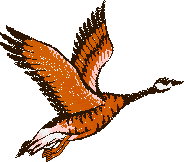 Birds 19 (76)