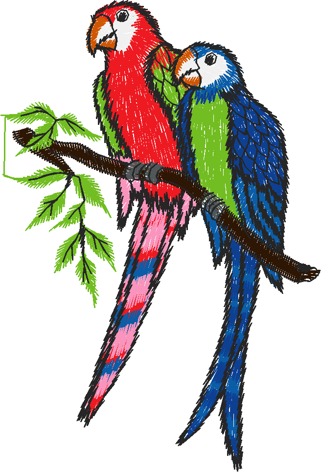 Birds 19 (82)