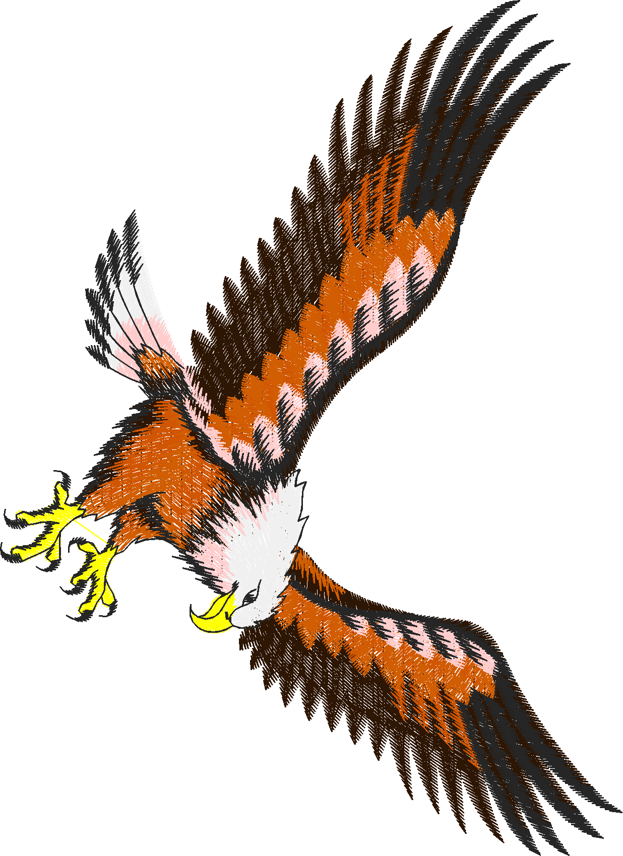 Birds 19 (87)
