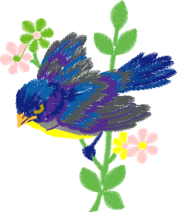 Birds 19 (89)