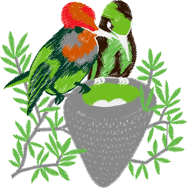 Birds 19 (92)