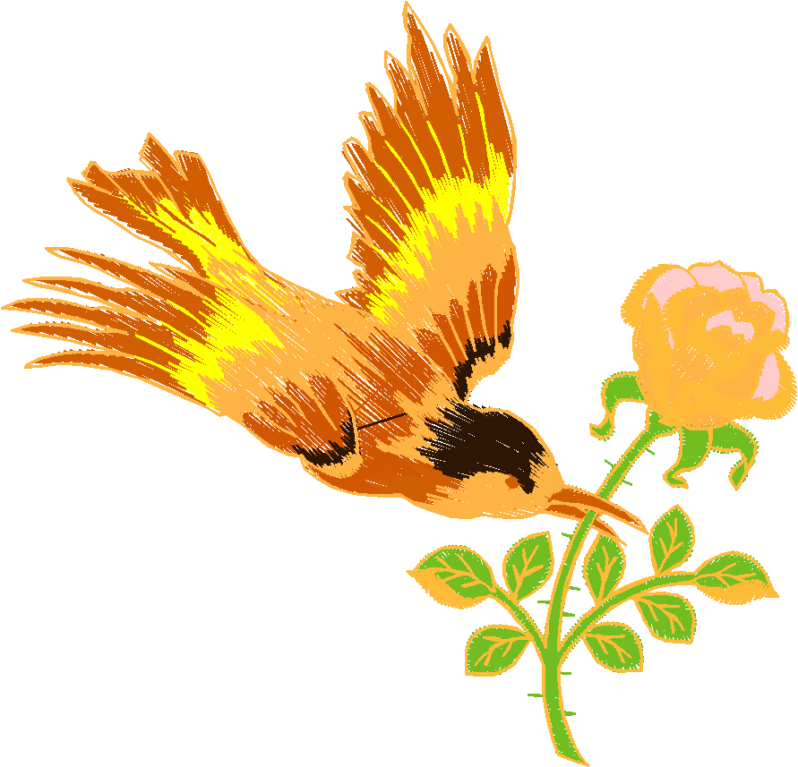 Birds 19 (99)