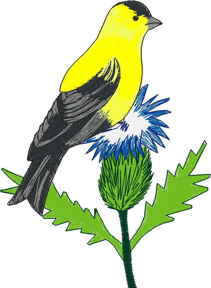 Birds 2 (11)