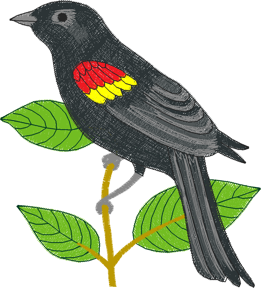 Birds 2 (12)