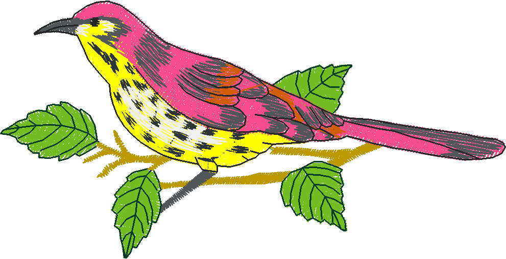 Birds 2 (19)