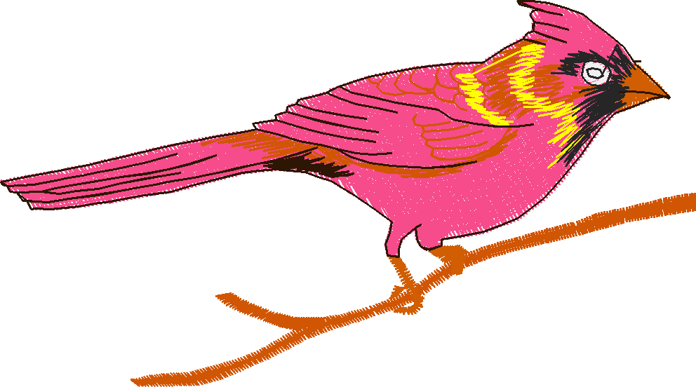 Birds 2 (2)