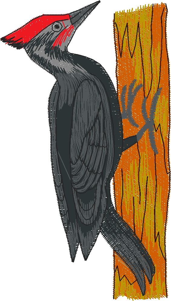 Birds 2 (20)