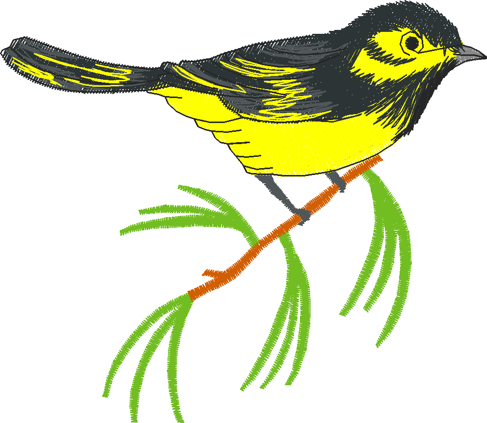 Birds 2 (4)