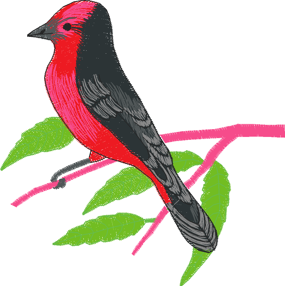 Birds 2 (6)