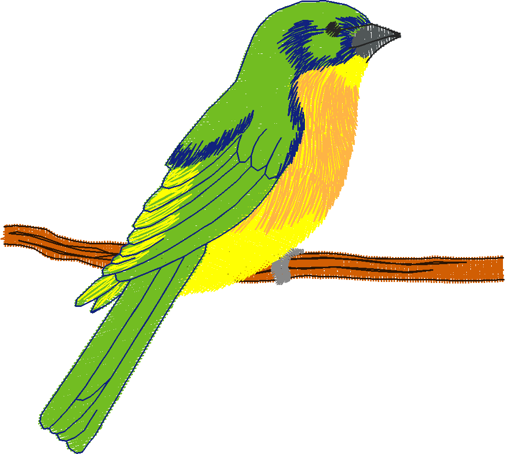 Birds 2 (8)