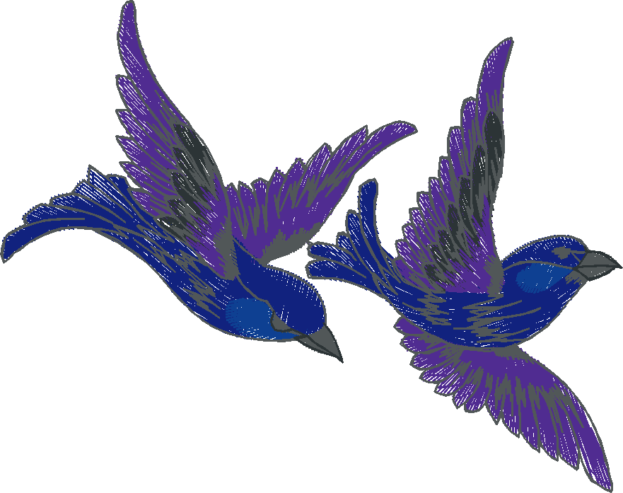 Birds 20 (100)
