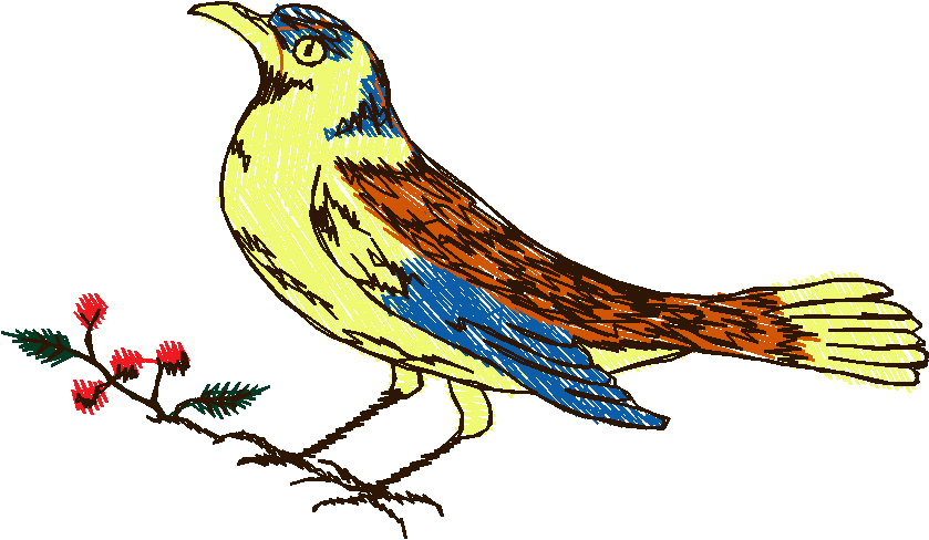 Birds 20 (19)