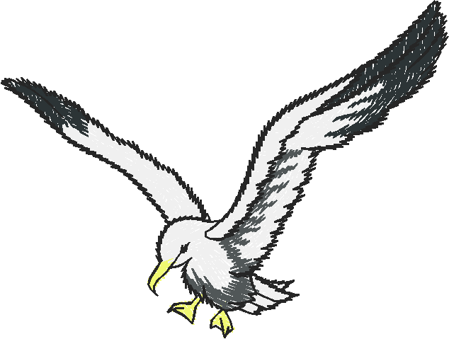 Birds 20 (24)