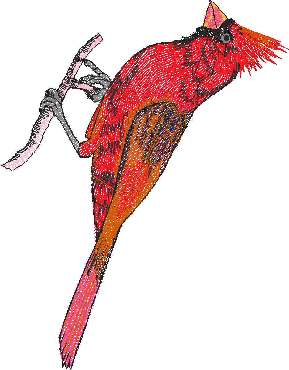 Birds 20 (38)
