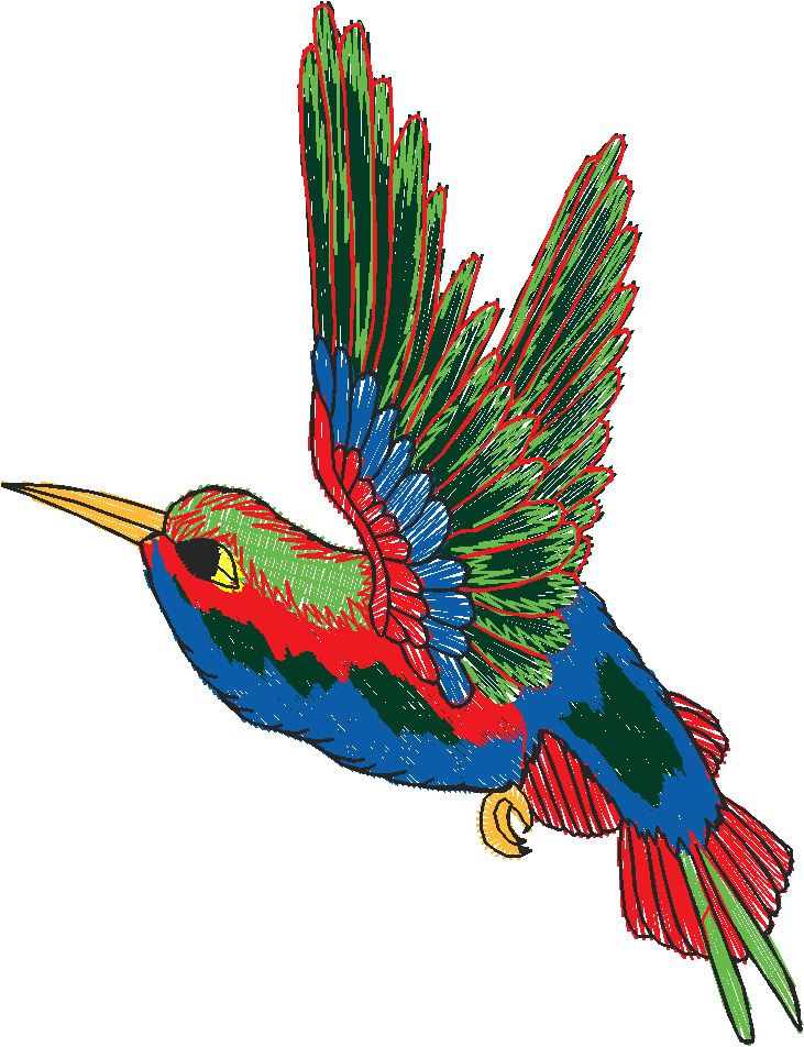 Birds 20 (41)