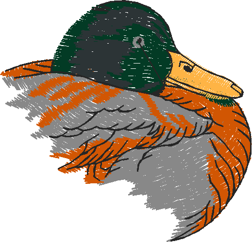 Birds 20 (48)