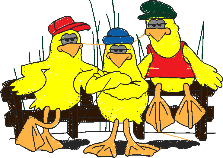 Birds 20 (52)