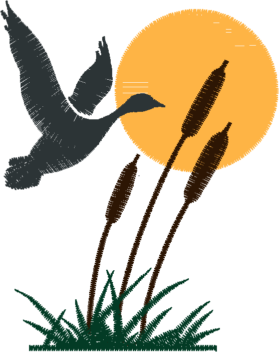 Birds 20 (56)