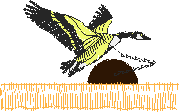 Birds 20 (57)
