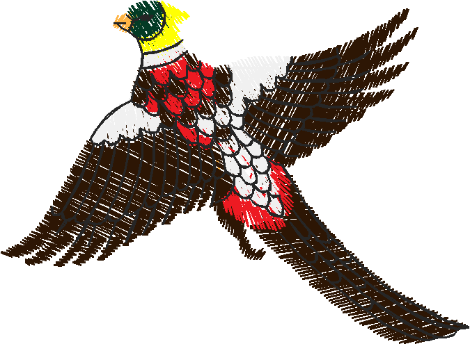 Birds 20 (63)