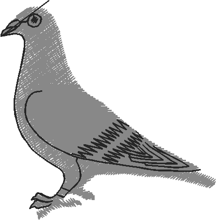 Birds 20 (71)