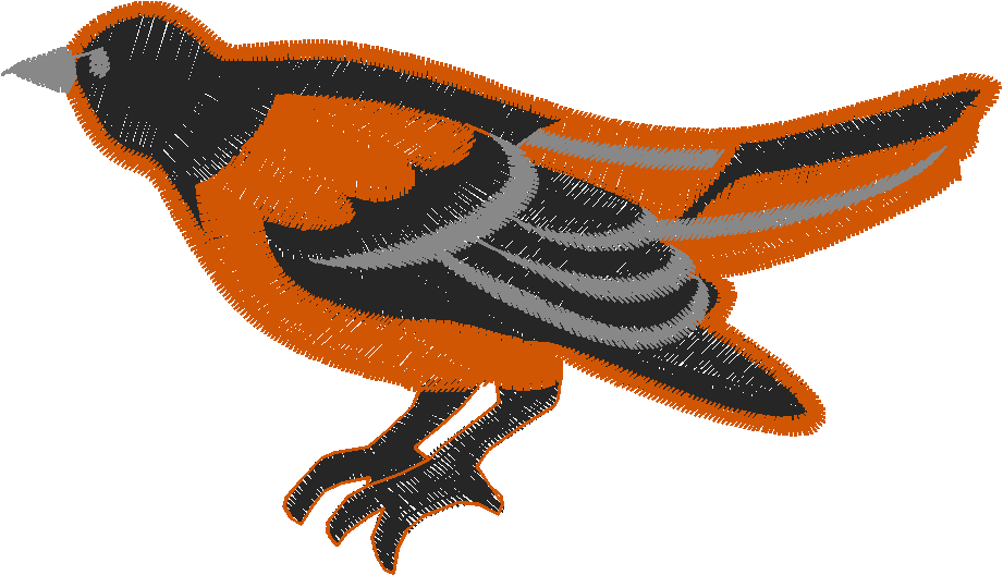 Birds 20 (74)