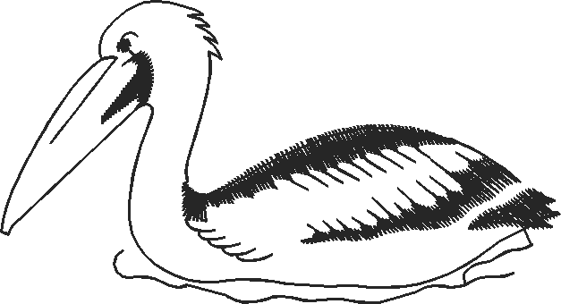 Birds 20 (75)