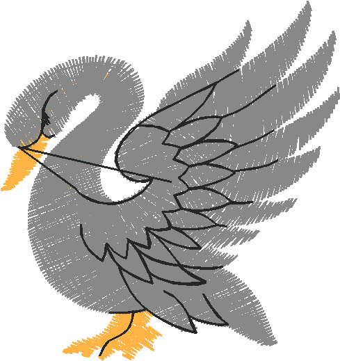 Birds 20 (76)