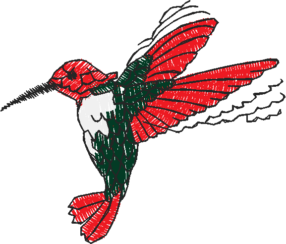 Birds 20 (79)