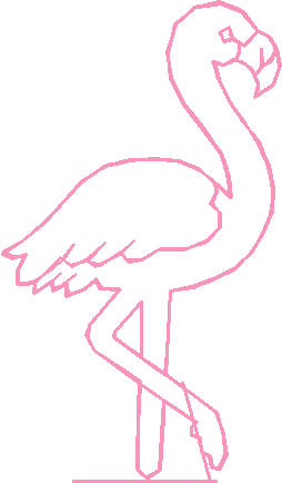 Birds 20 (84)